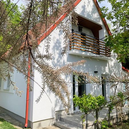 Quiet, Green, Relaxing Place - 2 Bedroom Apartment Balatonfured Luaran gambar